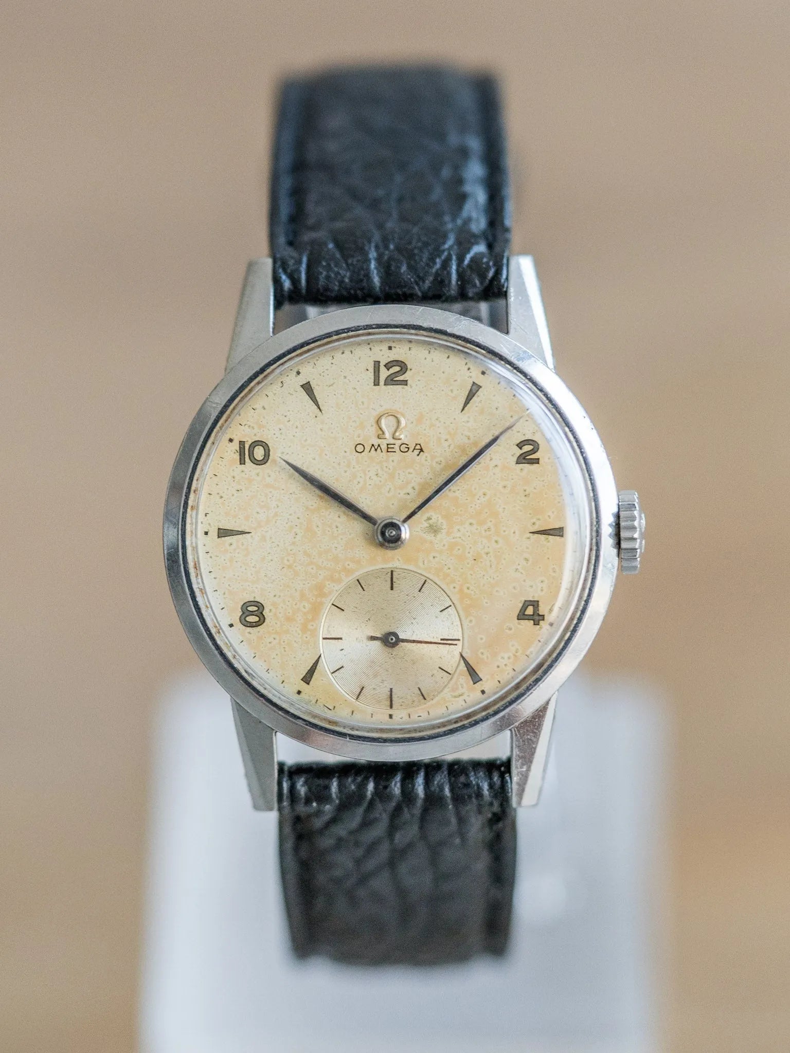 Omega - Calatrava Cream Patina - 1947